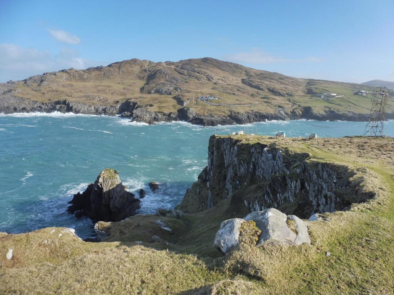 Island View House Bed & Breakfast Castletownbere Bagian luar foto