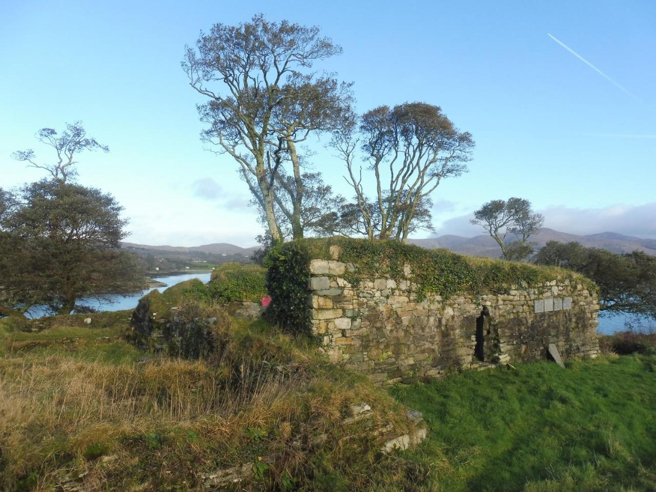 Island View House Bed & Breakfast Castletownbere Bagian luar foto