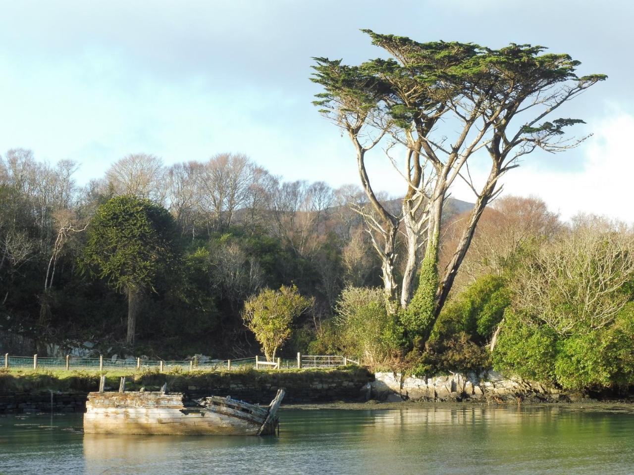 Island View House Bed & Breakfast Castletownbere Bagian luar foto