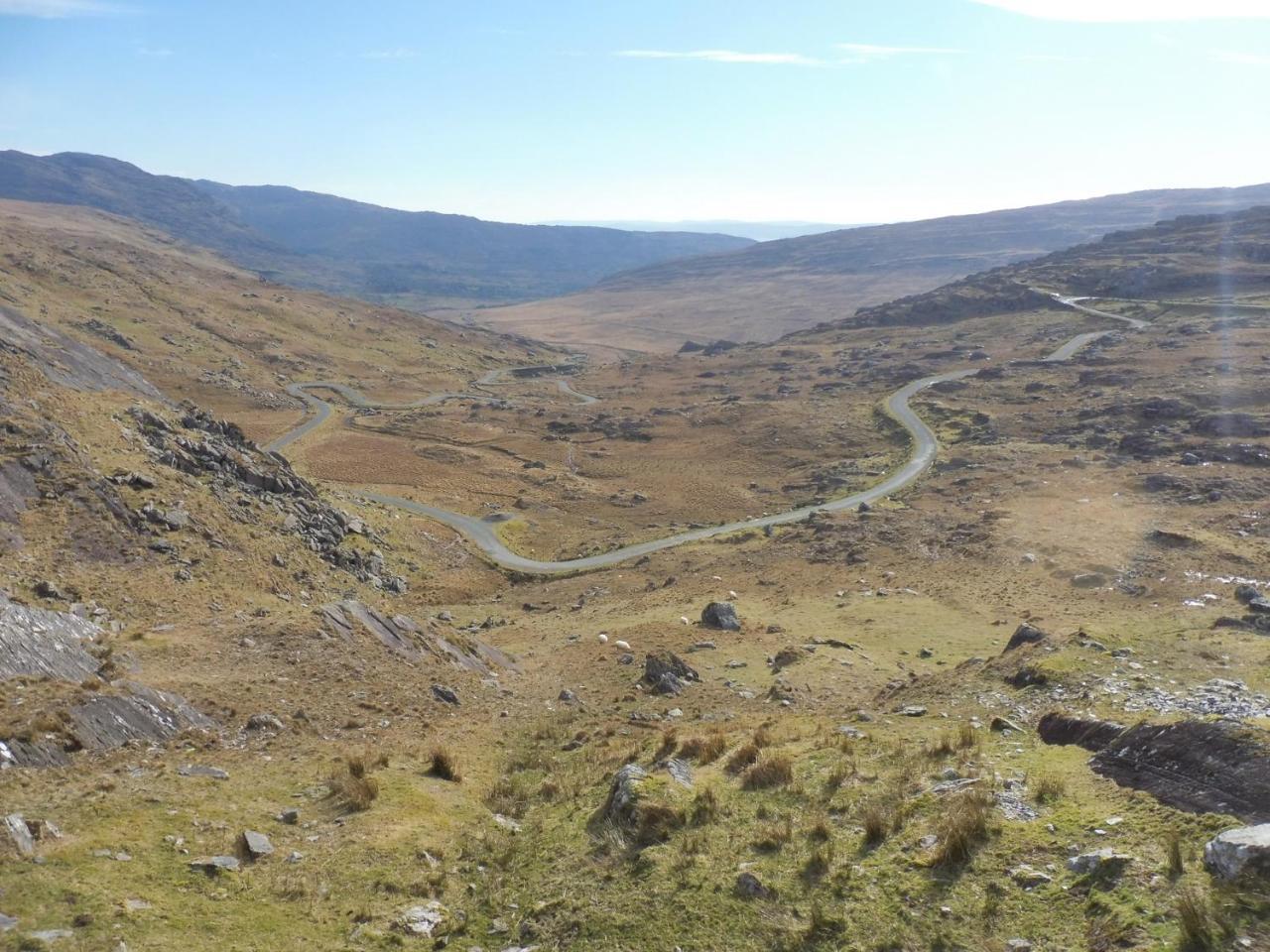 Island View House Bed & Breakfast Castletownbere Bagian luar foto