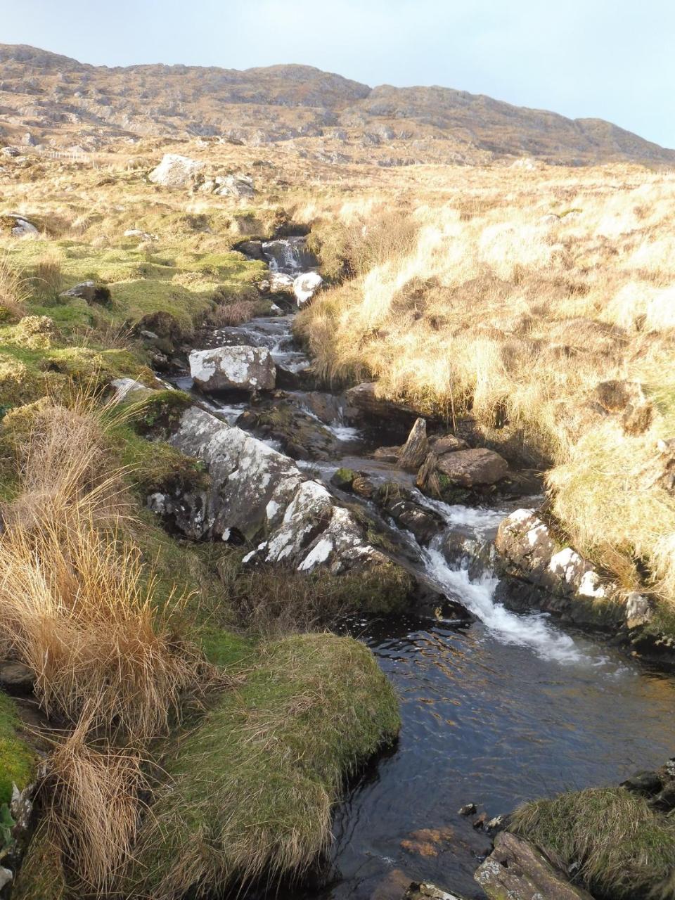 Island View House Bed & Breakfast Castletownbere Bagian luar foto